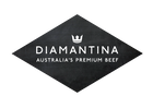 Diamantina logo diamond