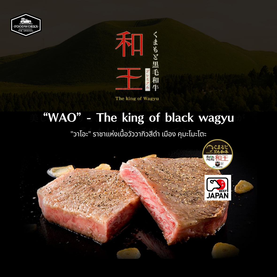 "วาโอะ" ราชาแห่งเนื้อวัววากิวสีดำ เมือง คุมะโมะโตะ