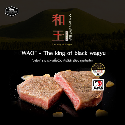 "วาโอะ" ราชาแห่งเนื้อวัววากิวสีดำ เมือง คุมะโมะโตะ