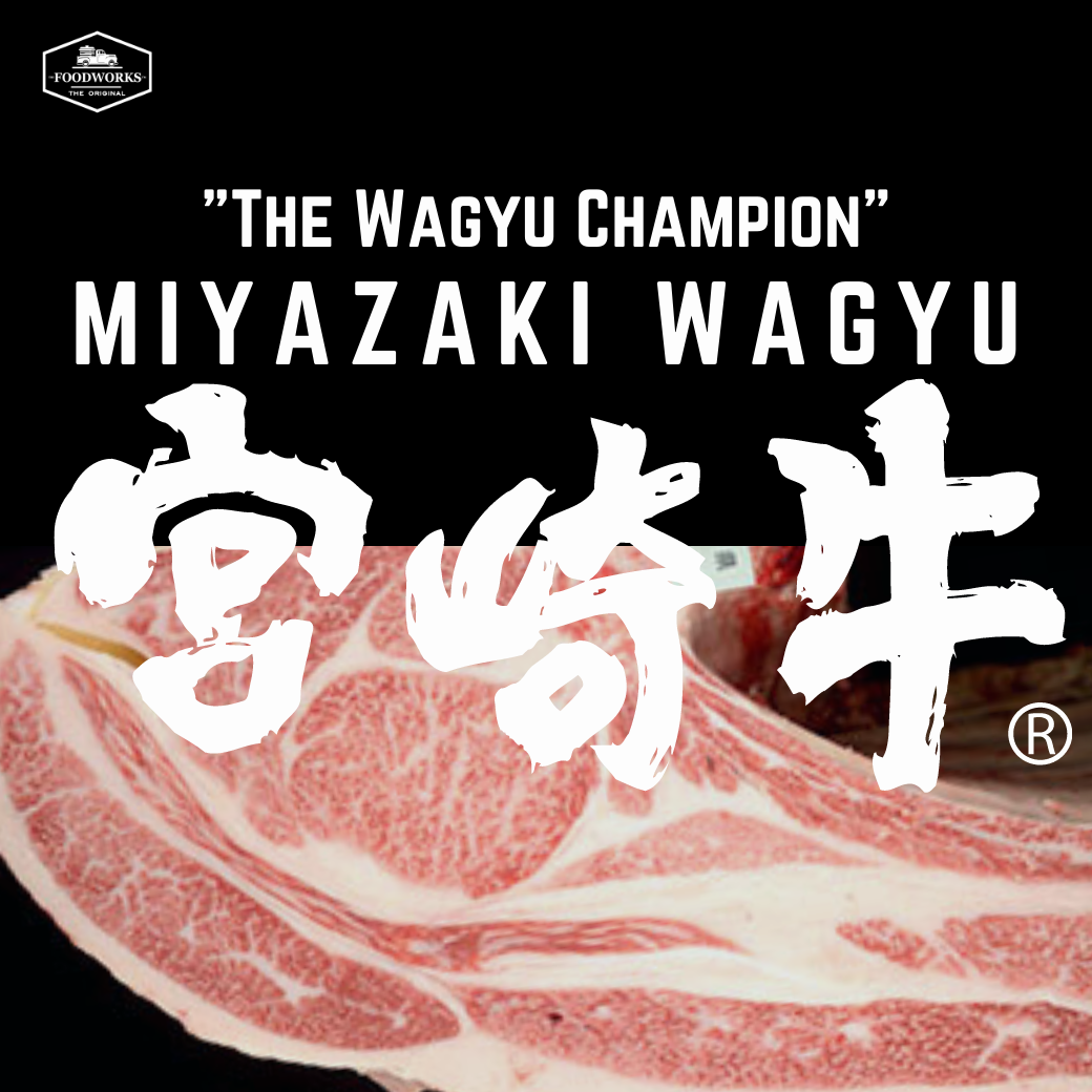 Miyazaki Wagyu "The Wagyu Champion" - ประวัติมิยาซากิวากิว