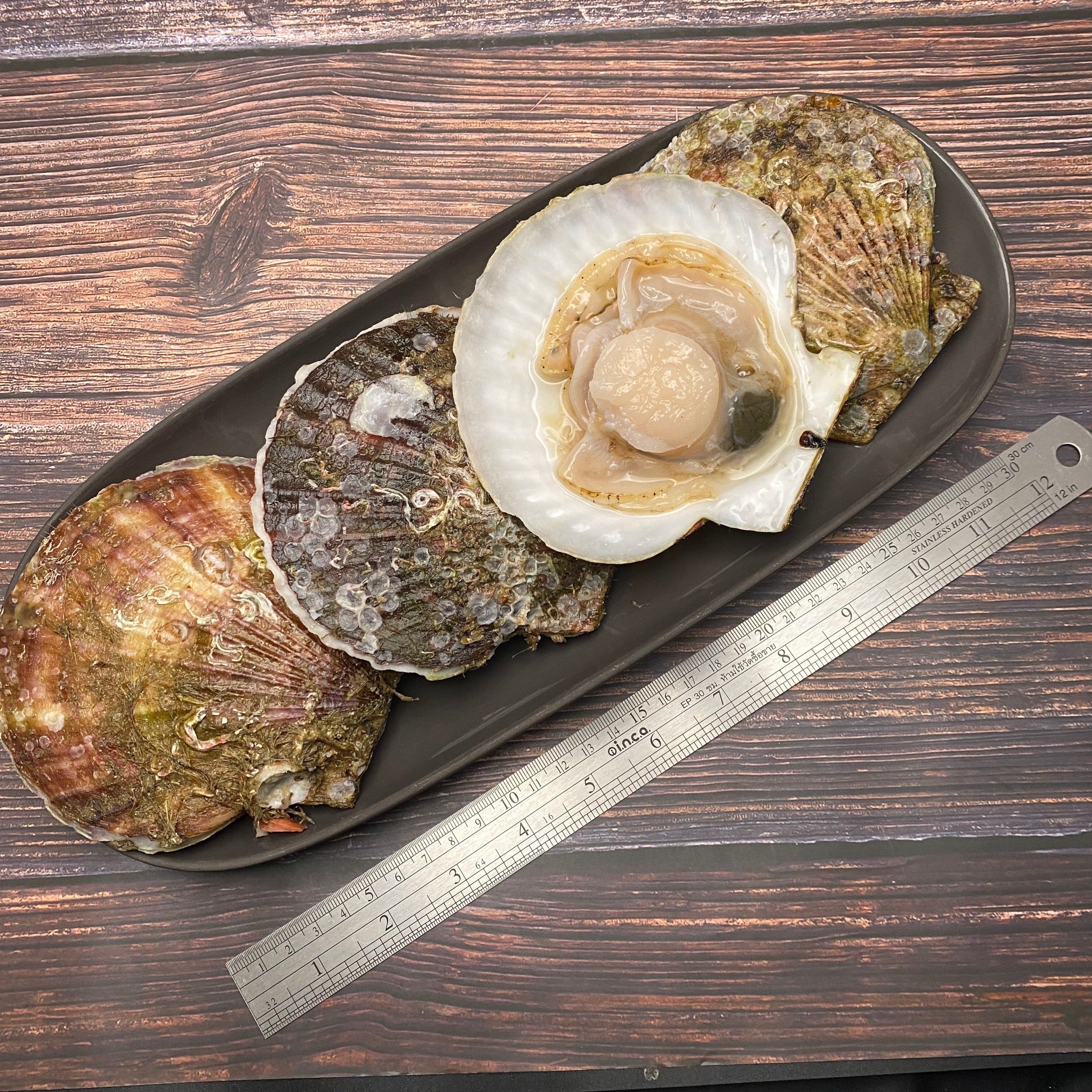 Hokkaido Fresh Hotate with Shell หอยเชลล์ญี่ปุ่นสด  ฮอกไกโด แบบมีฝา Size L - The Foodworks 