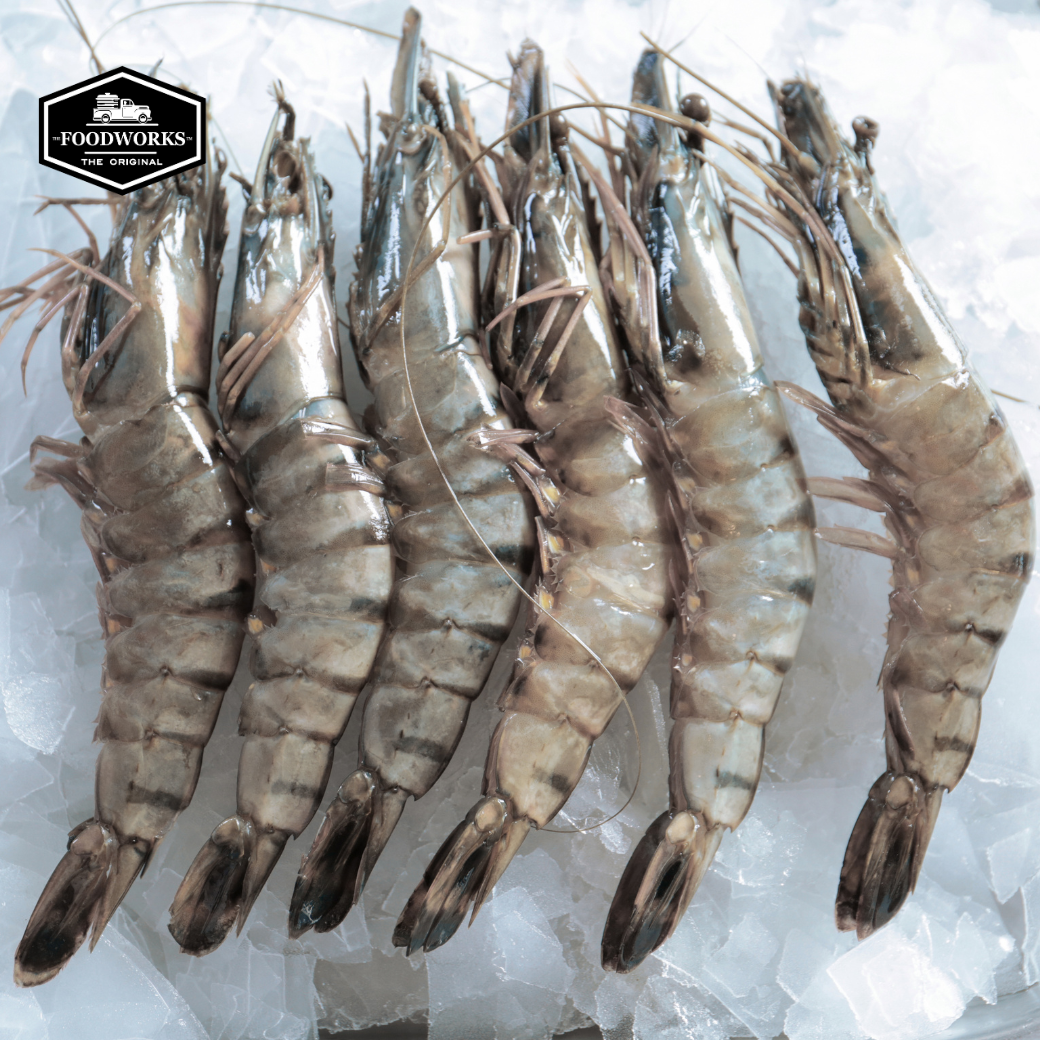 Raw Head On Shell On Black Tiger Shrimp 100% Natural Block กุ้งลายเสือทั้งตัว เกรดพรีเมียม (16 pcs/kg) - The Foodworks 