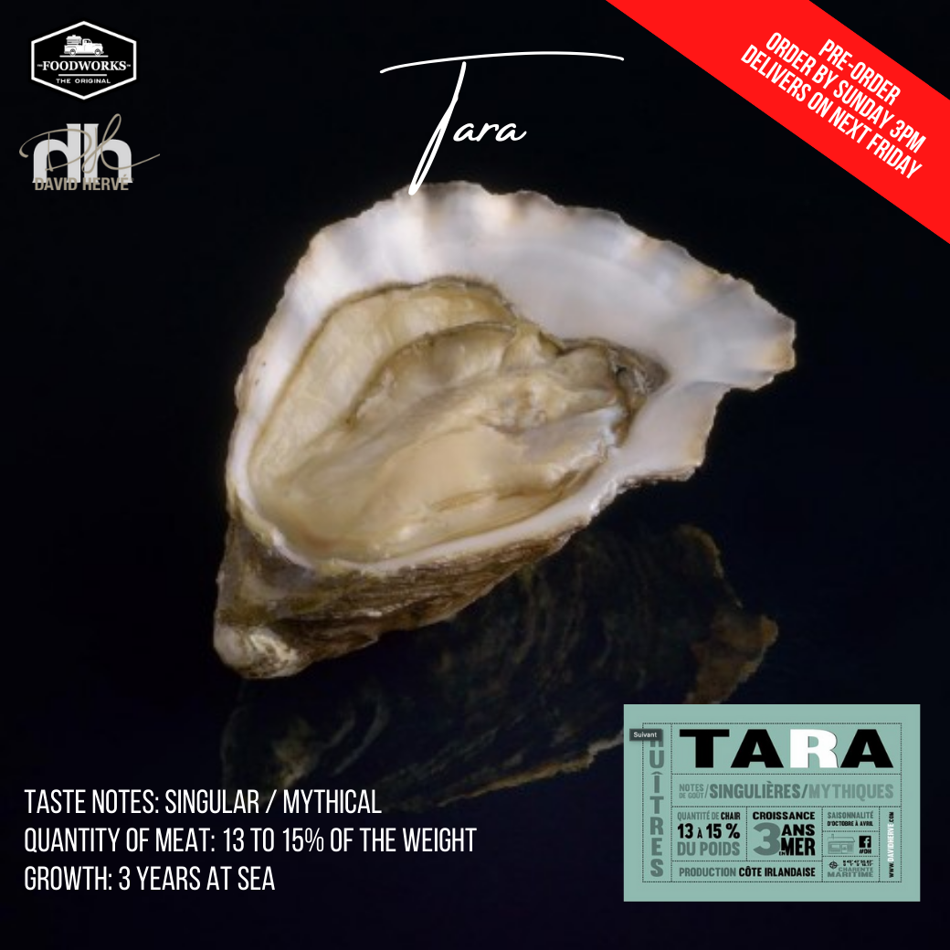 La Huître TARA n°3 Oyster by David Herve หอยนางรมฝรั่งเศสสด La Huître TARA n°3 by David Herve - The Foodworks 